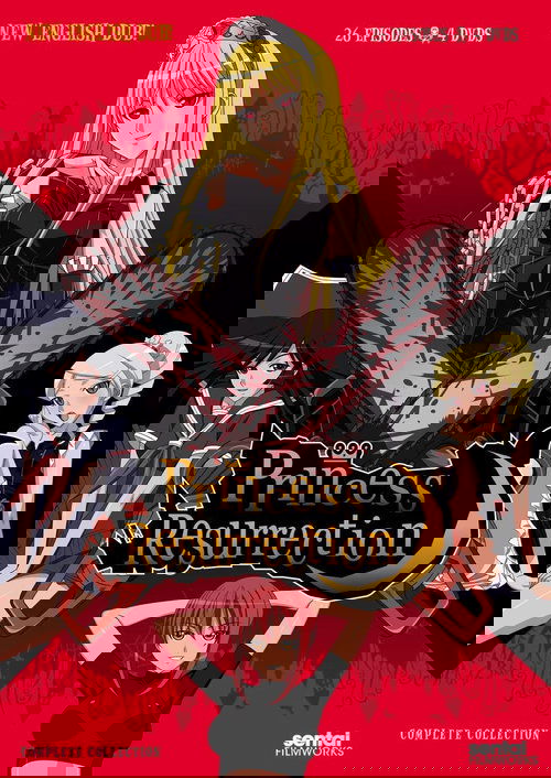 Princess Resurrection poster