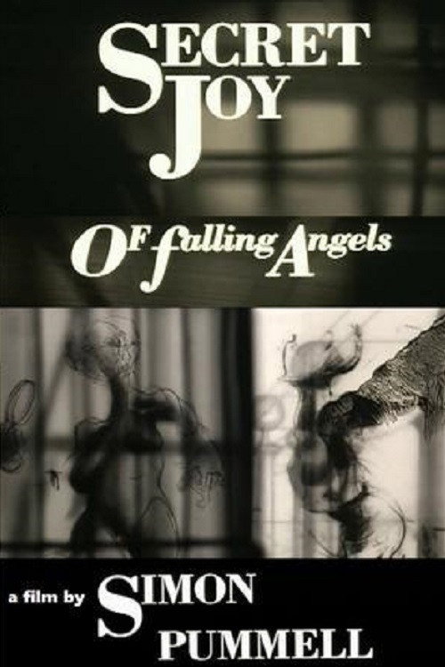 Movie poster for Secret Joy of Falling Angels (1991)