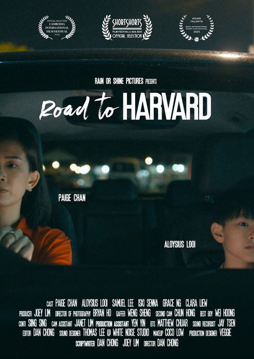 Movie poster for Road to Harvard (2024)