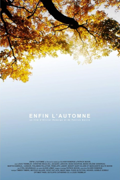 Movie poster for Fall, Finally (2011)