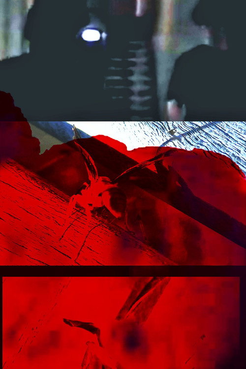 Movie poster for Because I felt like it