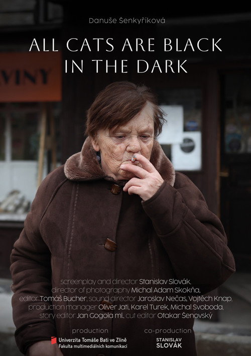 Movie poster for Potmě jsou všechny kočky černé (2025)