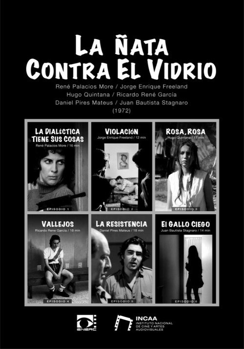 Movie poster for La ñata contra el vidrio (1972)