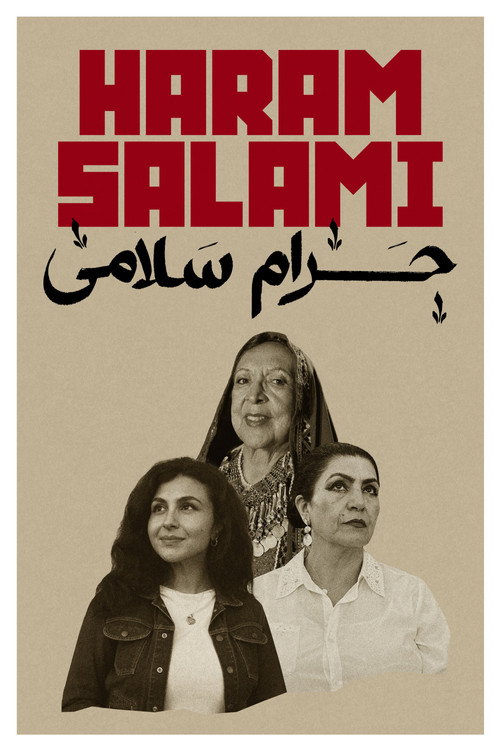 Movie poster for Haram Salami