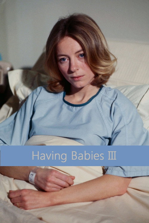 Movie poster for Having Babies III (1978)