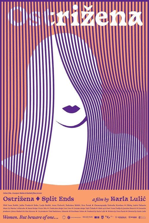 Movie poster for Split Ends (2023)