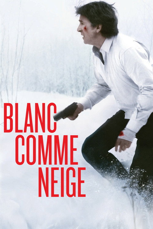 Movie poster for White Snow (2010)