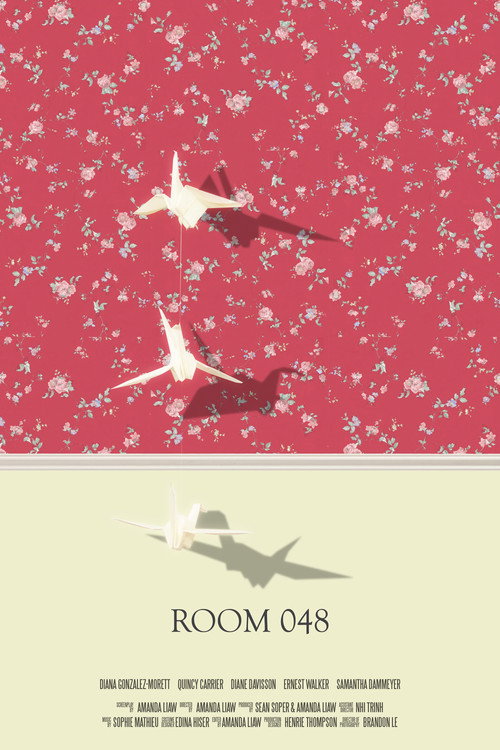Movie poster for Room 048 (2019)