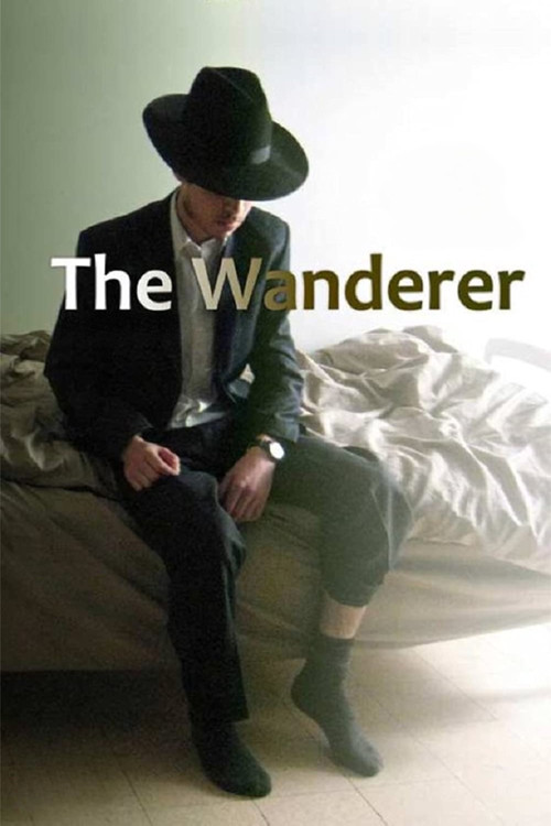 Movie poster for The Wanderer (2010)