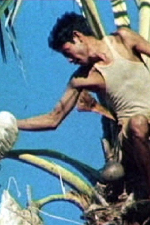 Movie poster for The Water of Words: A Cultural Ecology of an Eastern Indonesian Island (1983)