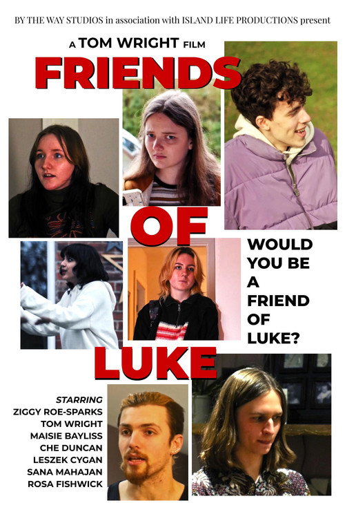 Movie poster for Friends of Luke (2022)
