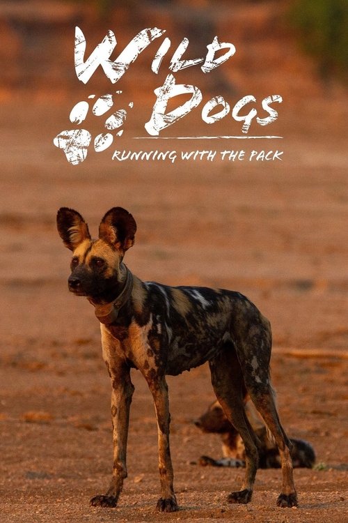 Series poster for Wild Dogs: Running with the Pack (2022)
