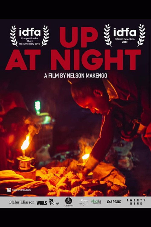 Movie poster for Up at Night (2019)