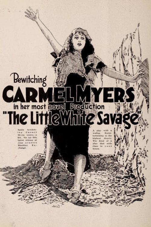 Movie poster for The Little White Savage (1919)