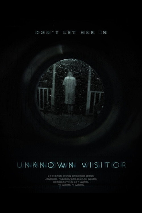Movie poster for Unknown Visitor (2019)