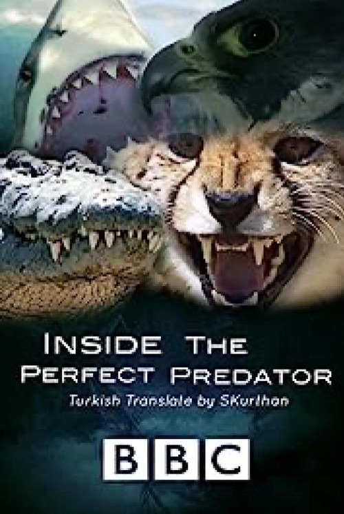Movie poster for Inside the Perfect Predator (2010)