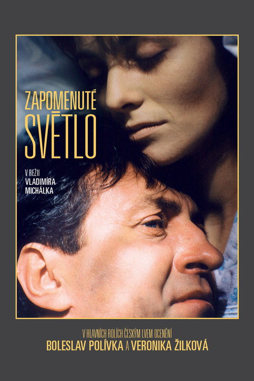 Movie poster for Forgotten Light (1996)