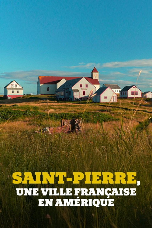 Movie poster for Saint-Pierre, une ville française en Amérique (2024)