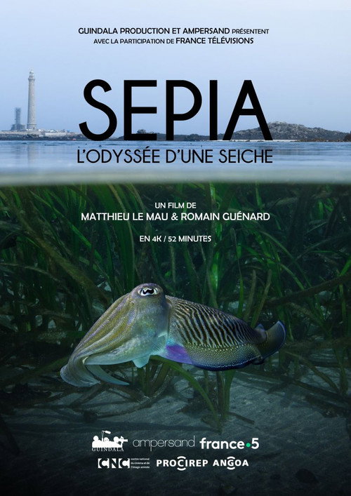 Movie poster for Sépia, l'odyssée d'une seiche (2024)