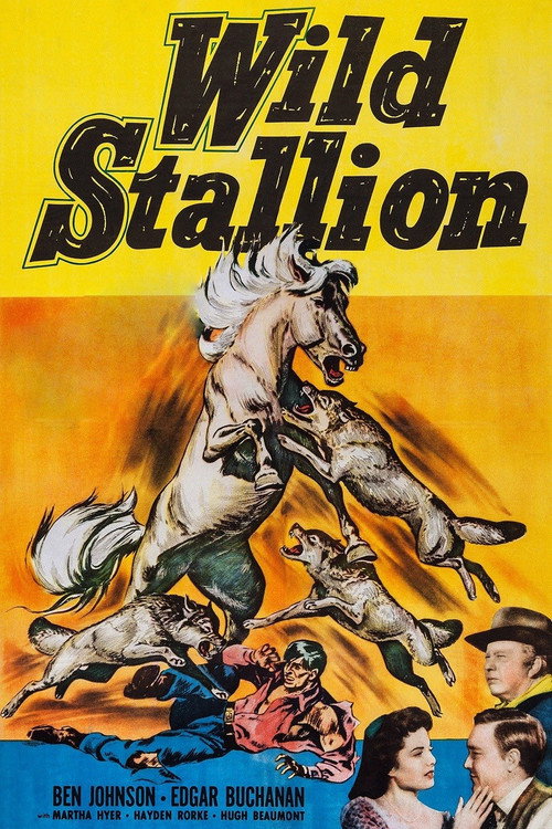 Movie poster for Wild Stallion (1952)