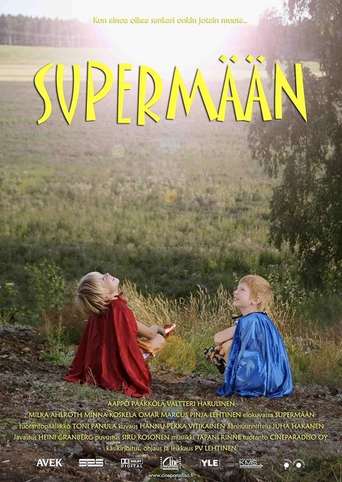 Movie poster for My Superhero (2010)