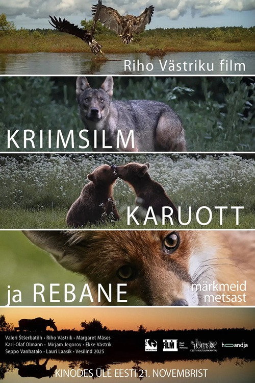 Movie poster for Notes from the Woods (2025)
