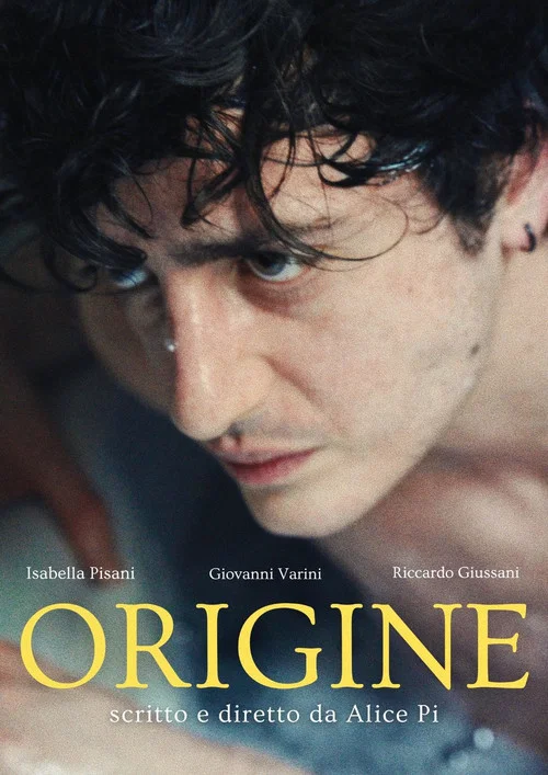 Movie poster for Origine
