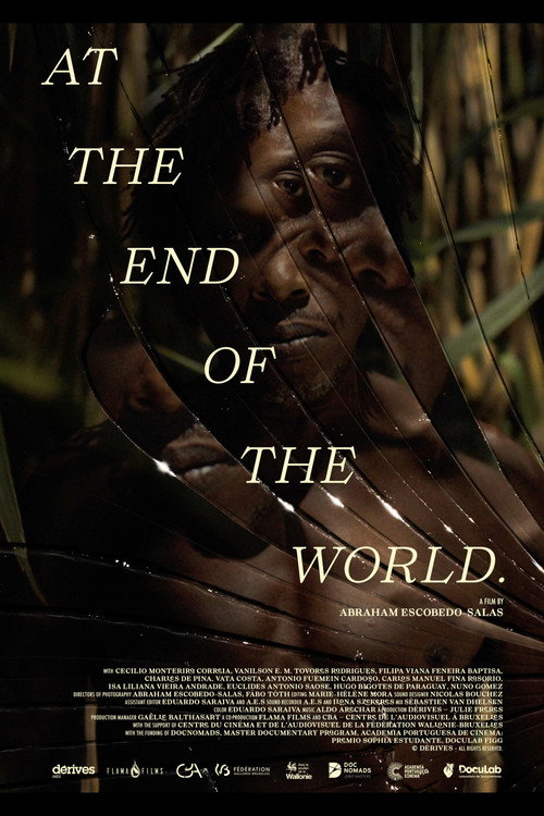 Movie poster for At the End Of The World (2025)