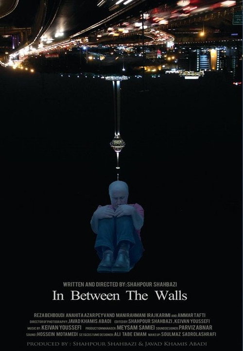 Movie poster for In Between The Walls