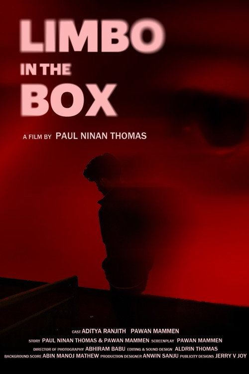 Movie poster for Limbo in The Box (2025)