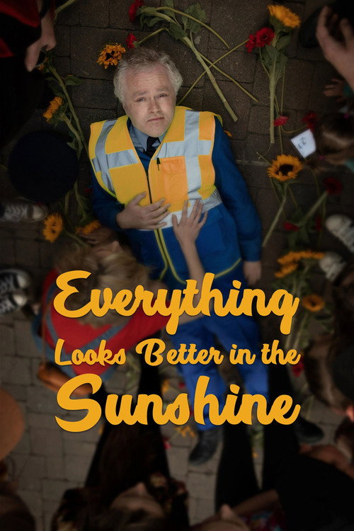 Movie poster for Everything Looks Better in the Sunshine (2019)