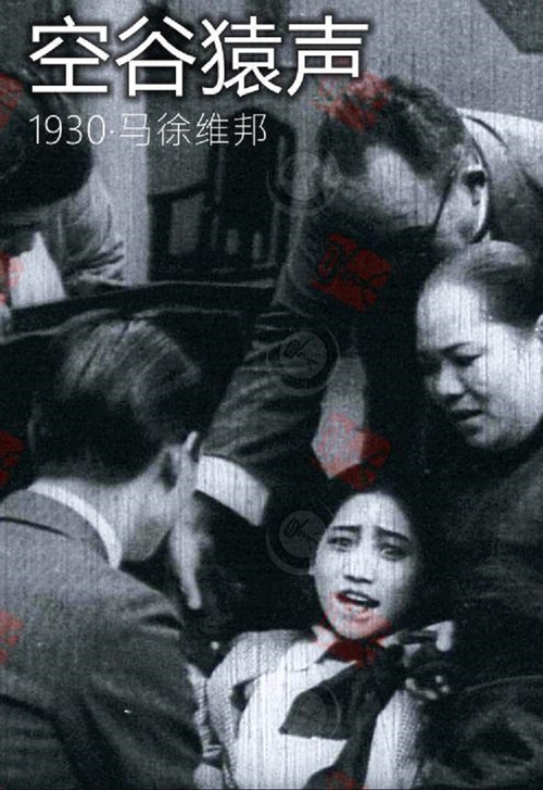 Movie poster for Wailing In Hollow Valley (1930)