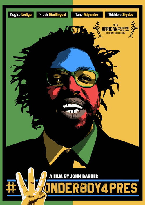 Movie poster for Wonder Boy for President (2016)