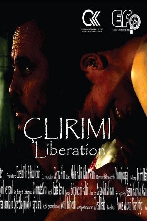 Movie poster for Liberation (2015)