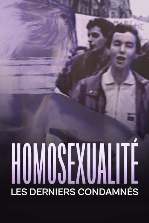Movie poster for Homosexualité, les derniers condamnés (2022)