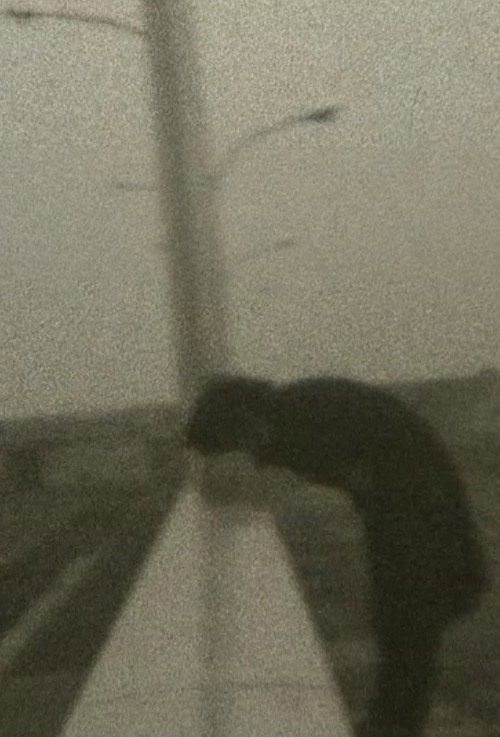 Movie poster for Industrial Area (1972)