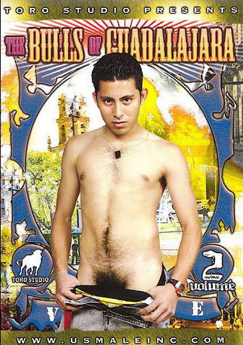 Movie poster for The Bulls of Guadalajara 2 (2005)
