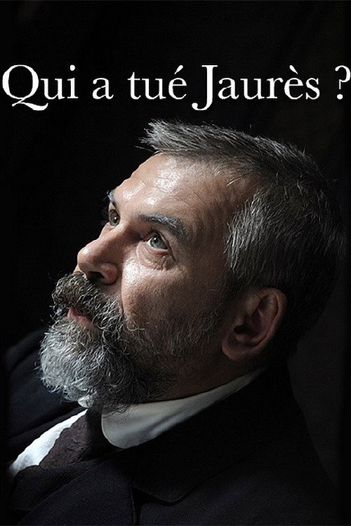 Movie poster for Qui a tué Jaurès ? (2014)