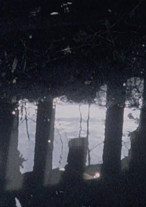 Movie poster for Hole (1992)