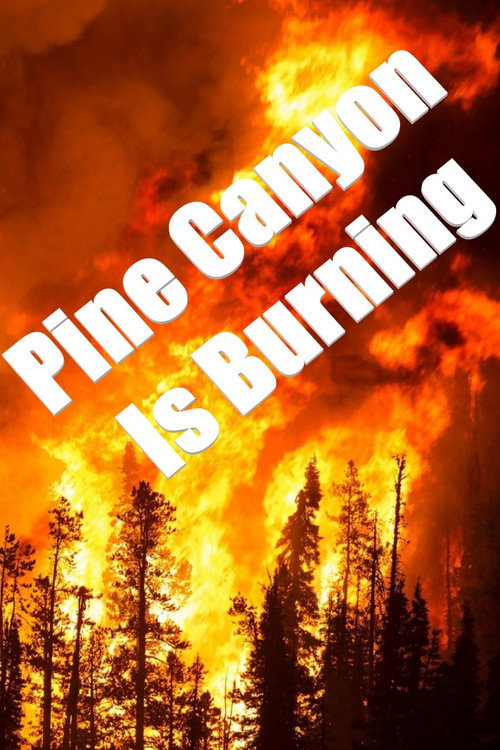 Movie poster for Pine Canyon Is Burning (1977)