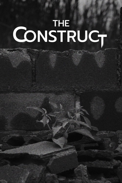 Movie poster for The Construct