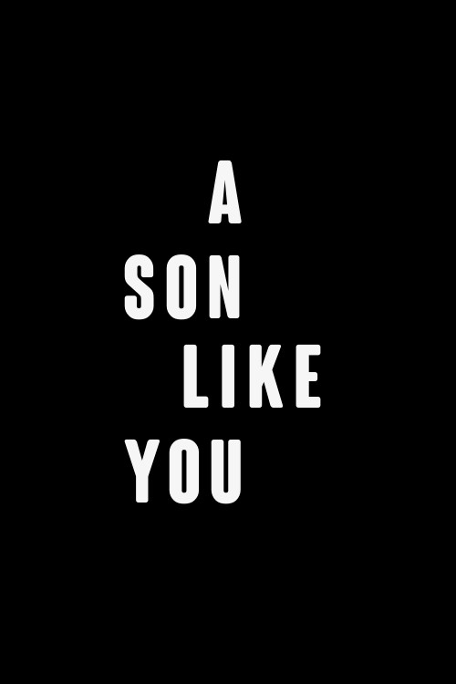 Movie poster for A Son Like You (2012)