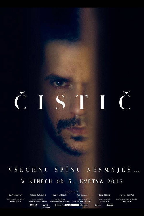 Movie poster for The Cleaner (2015)