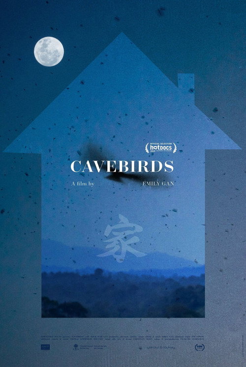 Movie poster for Cavebirds (2019)