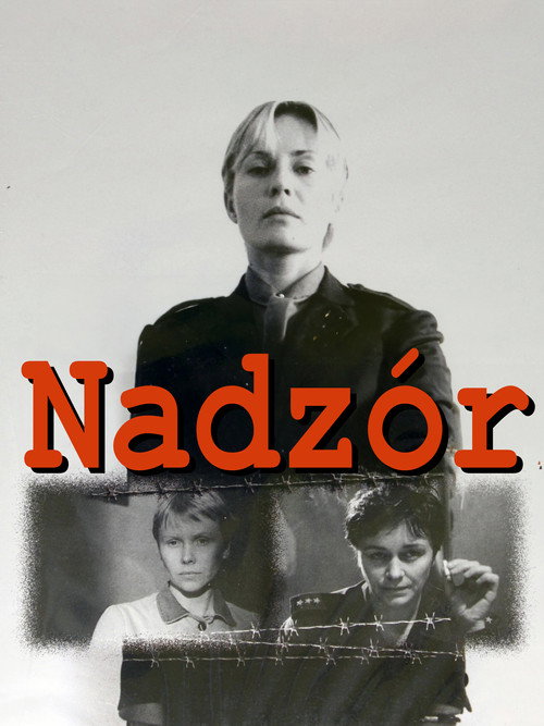 Movie poster for Custody (1985)