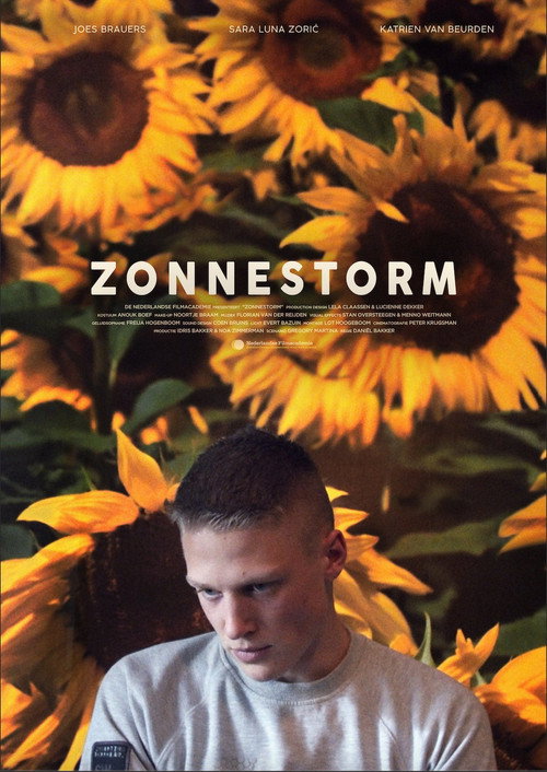 Movie poster for Zonnestorm (2019)