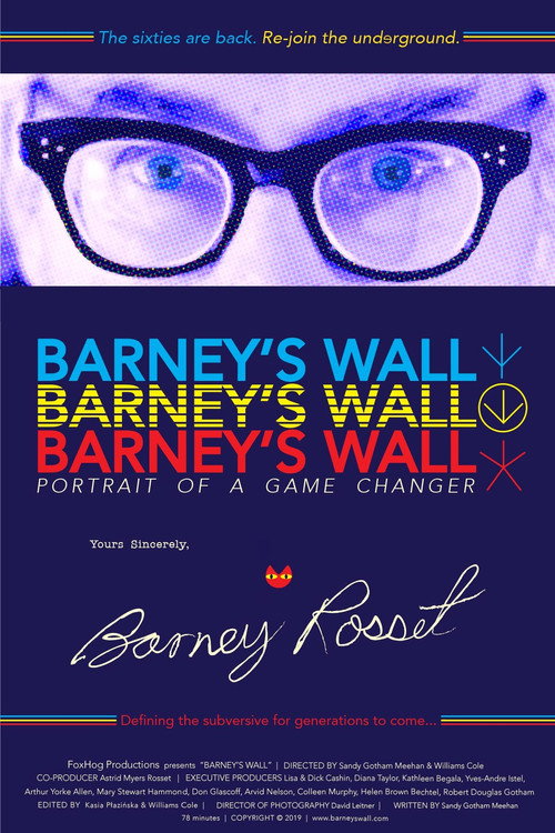 Movie poster for Barney's Wall (2019)