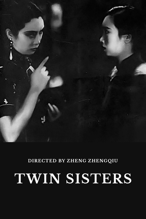 Movie poster for Twin Sisters (1934)