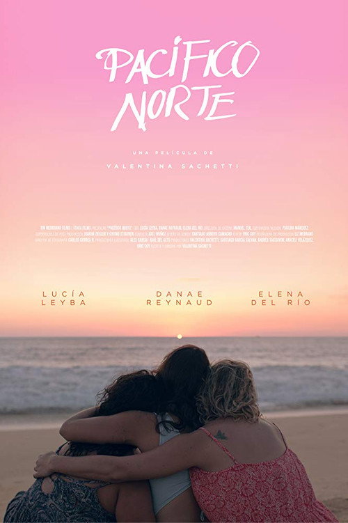 Movie poster for North Pacific (2018)