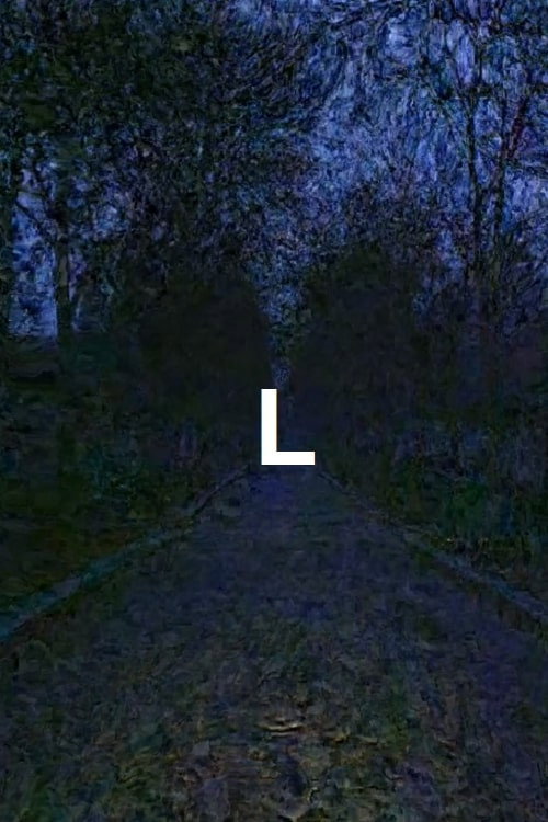 Movie poster for L (2014)